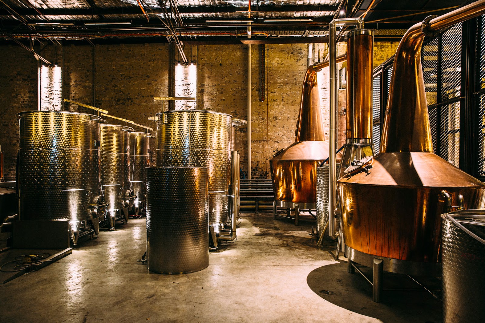 Archie Rose Distilling Co in Rosebery - photo 4