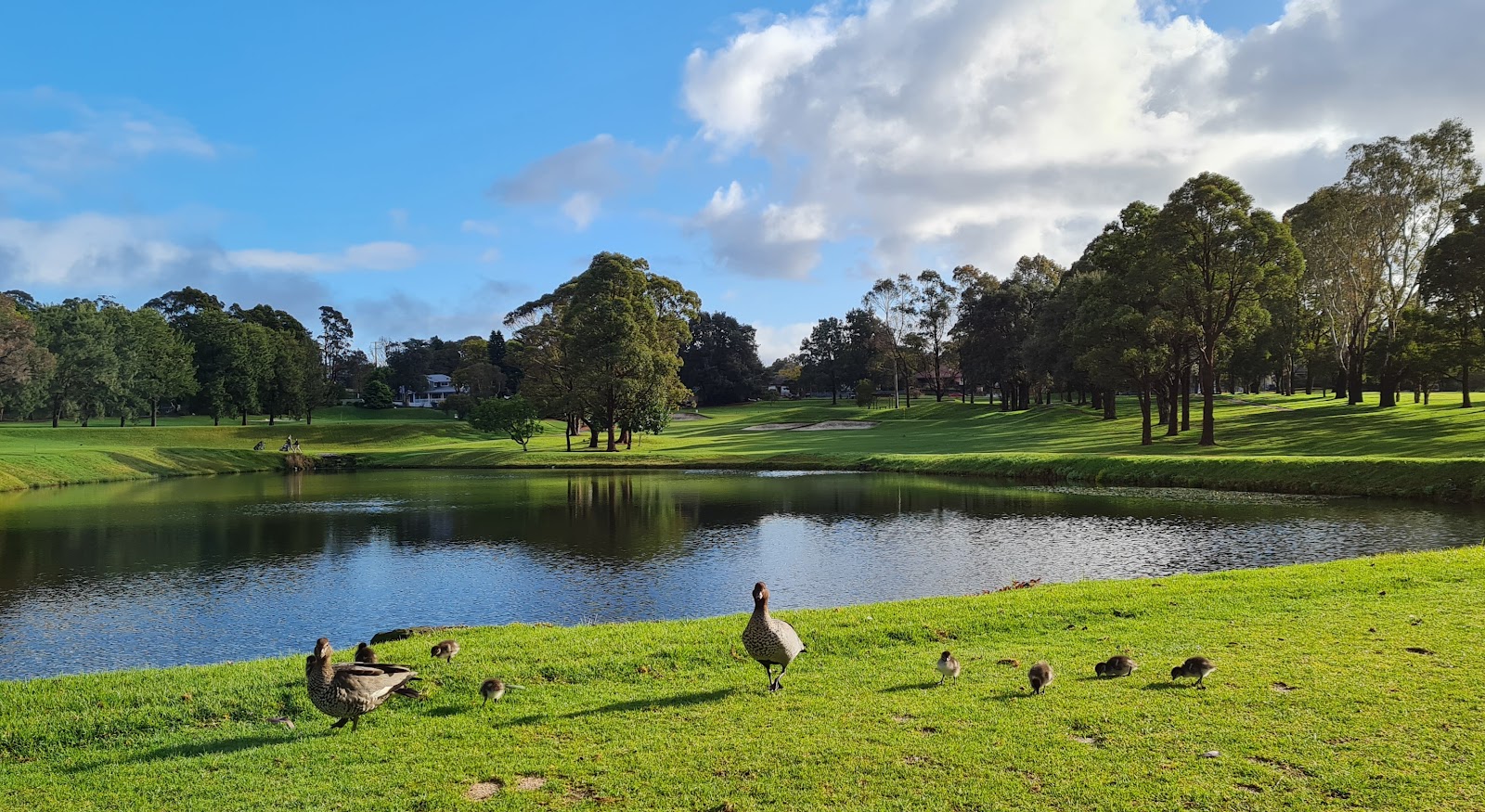 Asquith Golf Club Limited in Mount Colah - photo 4