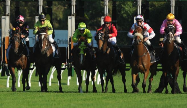 Australian Turf Club Limited in Randwick - photo 3
