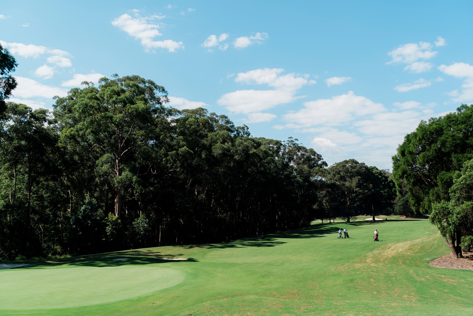 Avondale Golf Club Ltd in Pymble - photo 8