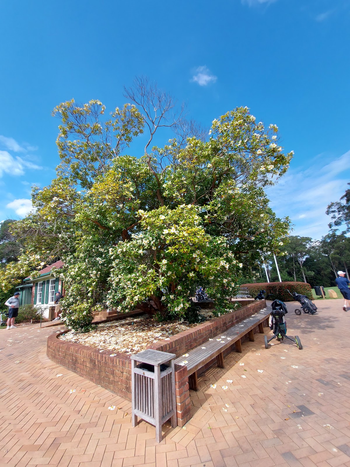 Avondale Golf Club Ltd in Pymble - photo 4