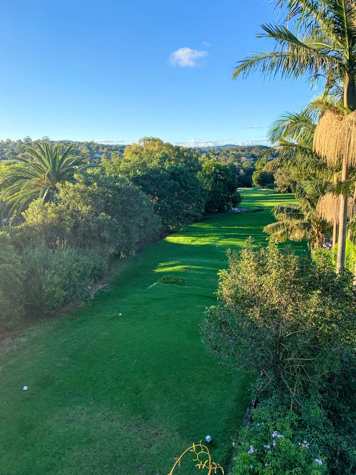 Balgowlah Golf Club Ltd in Balgowlah - photo 3