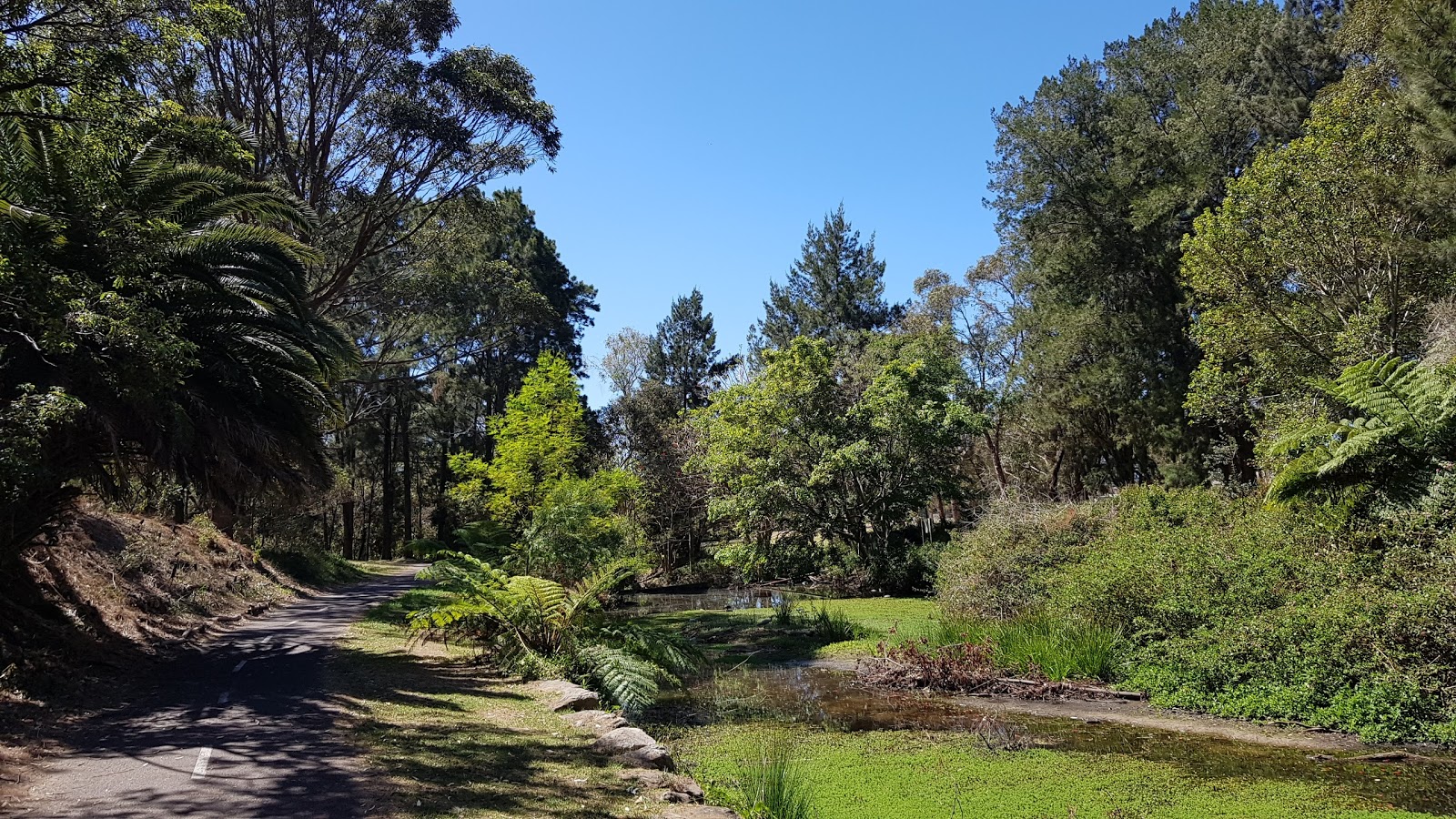 Balgowlah Golf Club Ltd in Balgowlah - photo 4