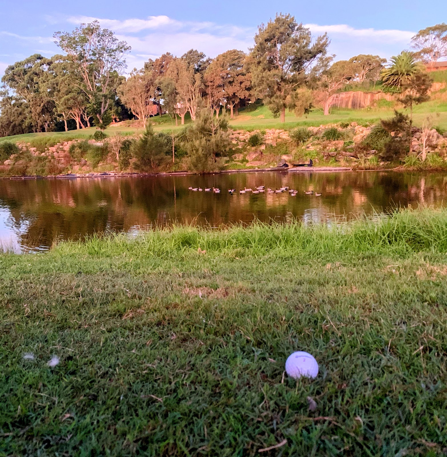 Balgowlah Golf Club Ltd in Balgowlah - photo 6