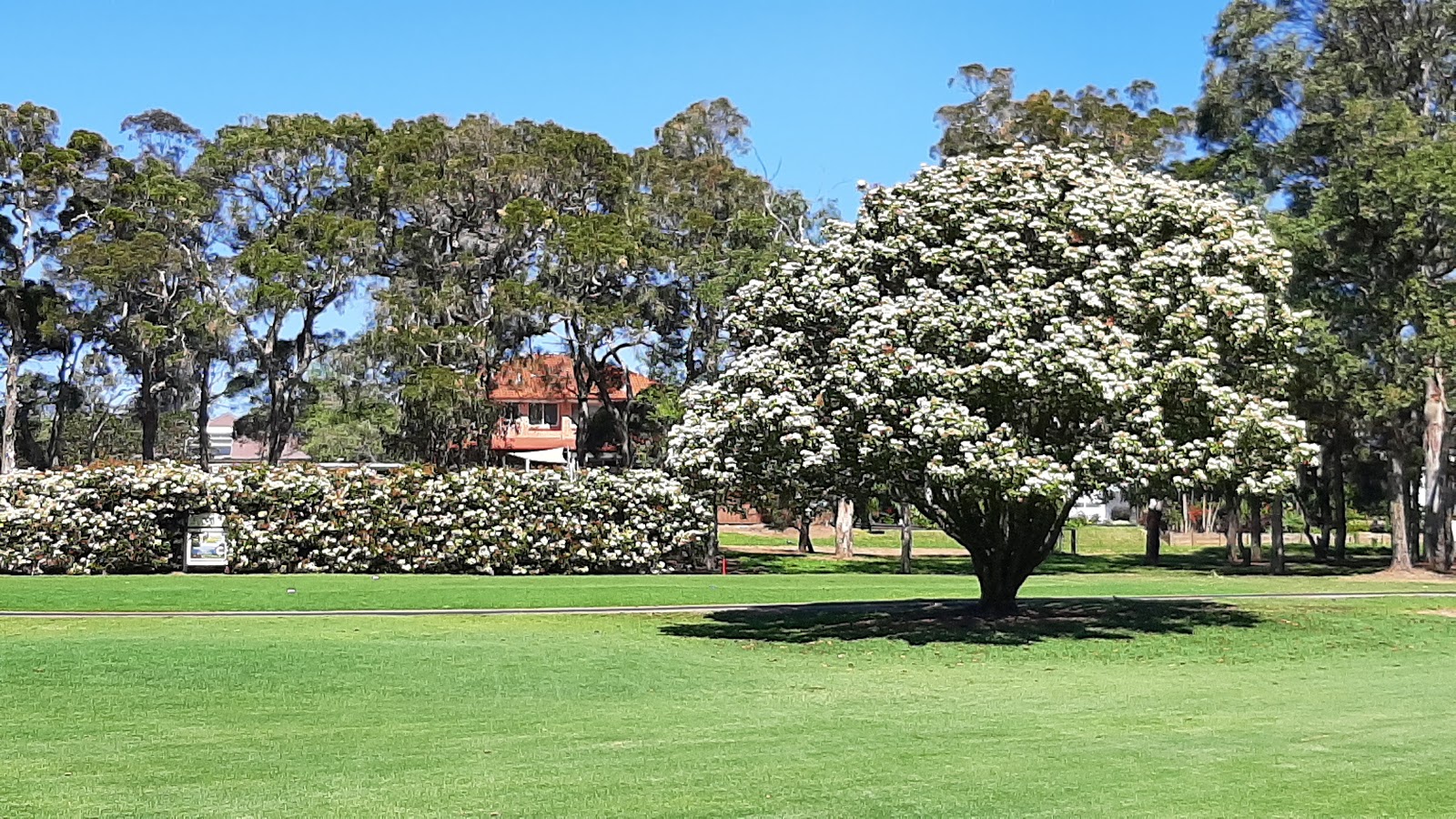 Bankstown Golf Club in Milperra - photo 2