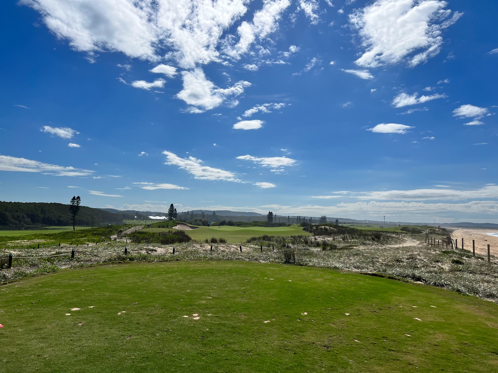 Belmont Golf Club Limited in Marks Point - photo 4