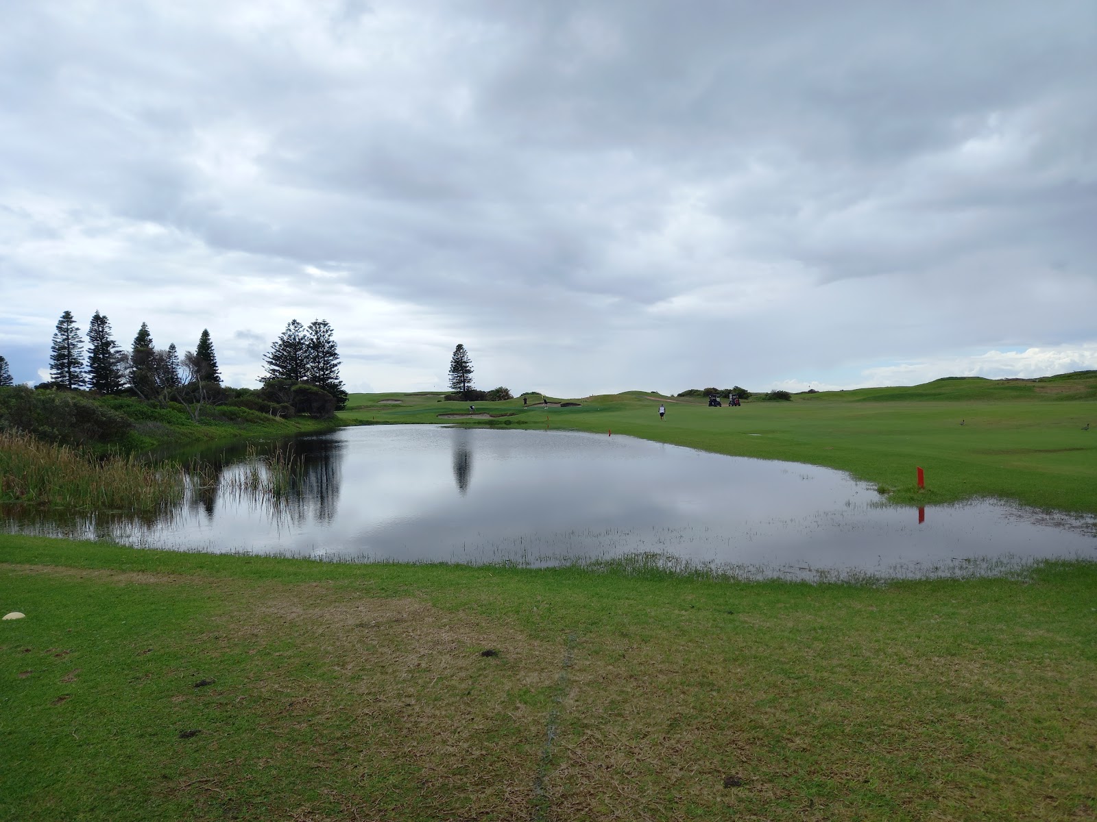 Belmont Golf Club Limited in Marks Point - photo 6