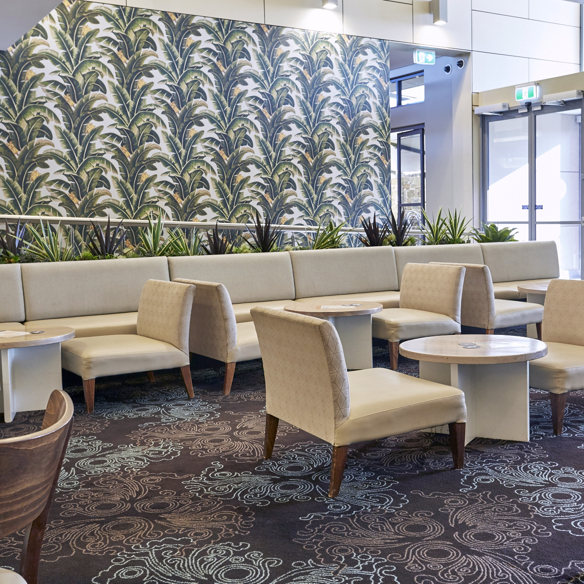 Belrose Hotel in Belrose - photo 1