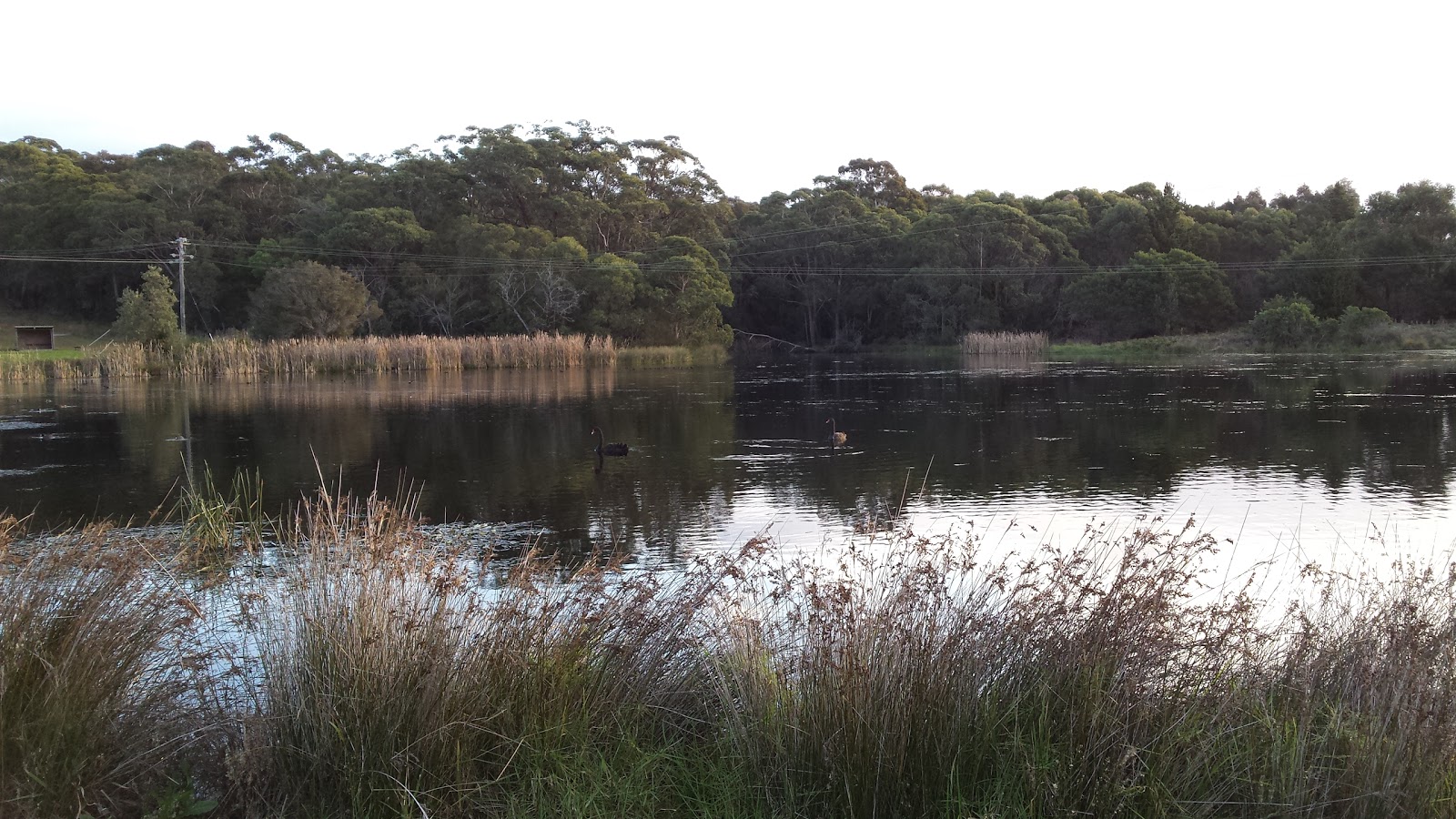 Bermagui Country Club in Bermagui - photo 7