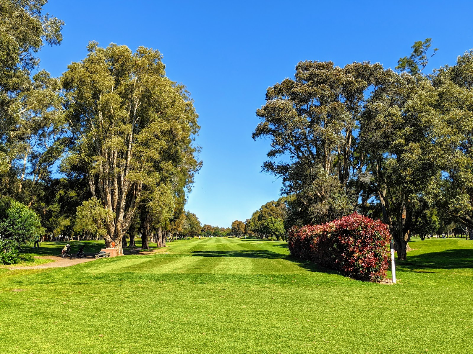 Beverley Park Golf Club Ltd in Beverley Park - photo 5