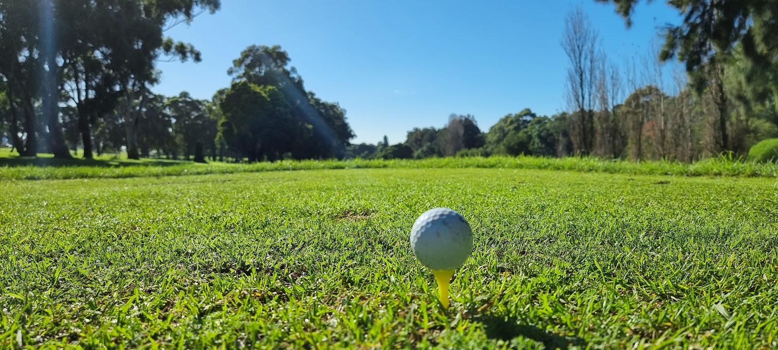 Bexley Golf Club in Kingsgrove - photo 6