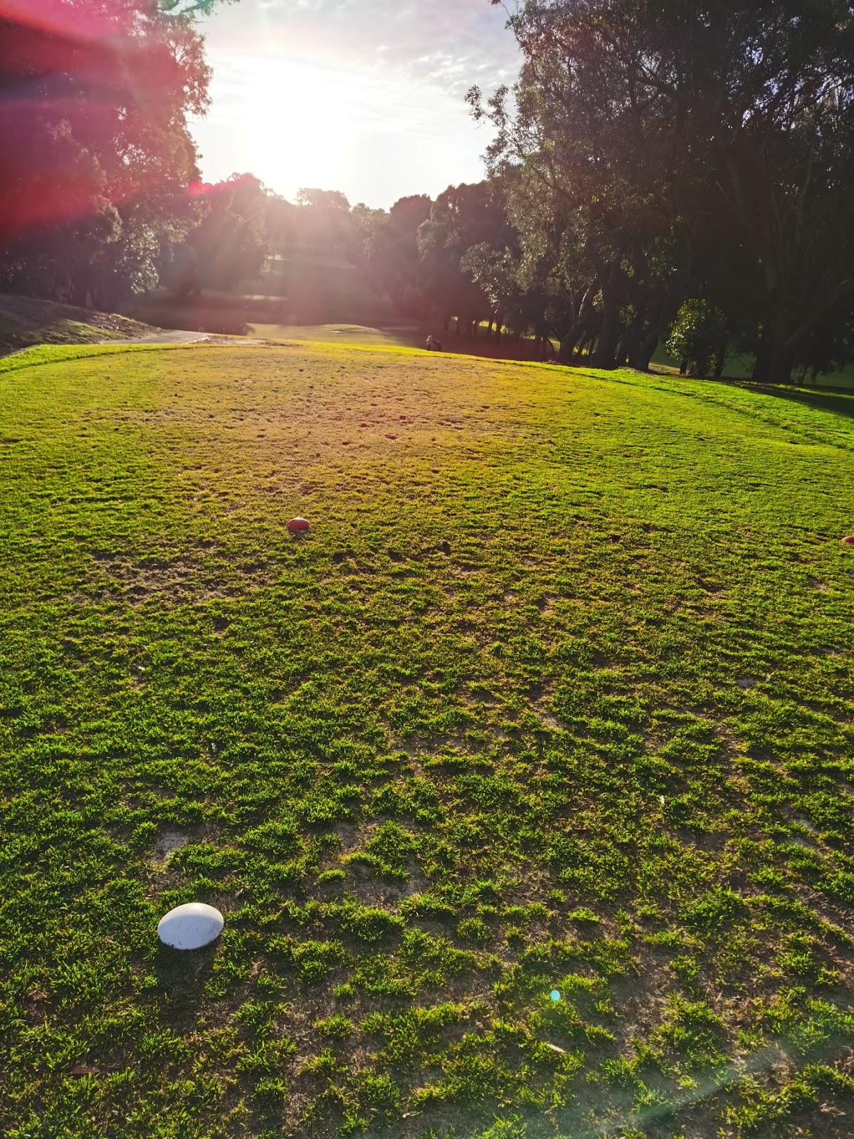Bexley Golf Club in Kingsgrove - photo 7
