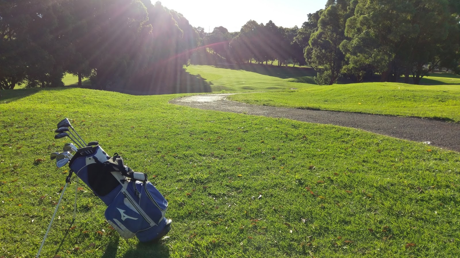Bexley Golf Club in Kingsgrove - photo 8