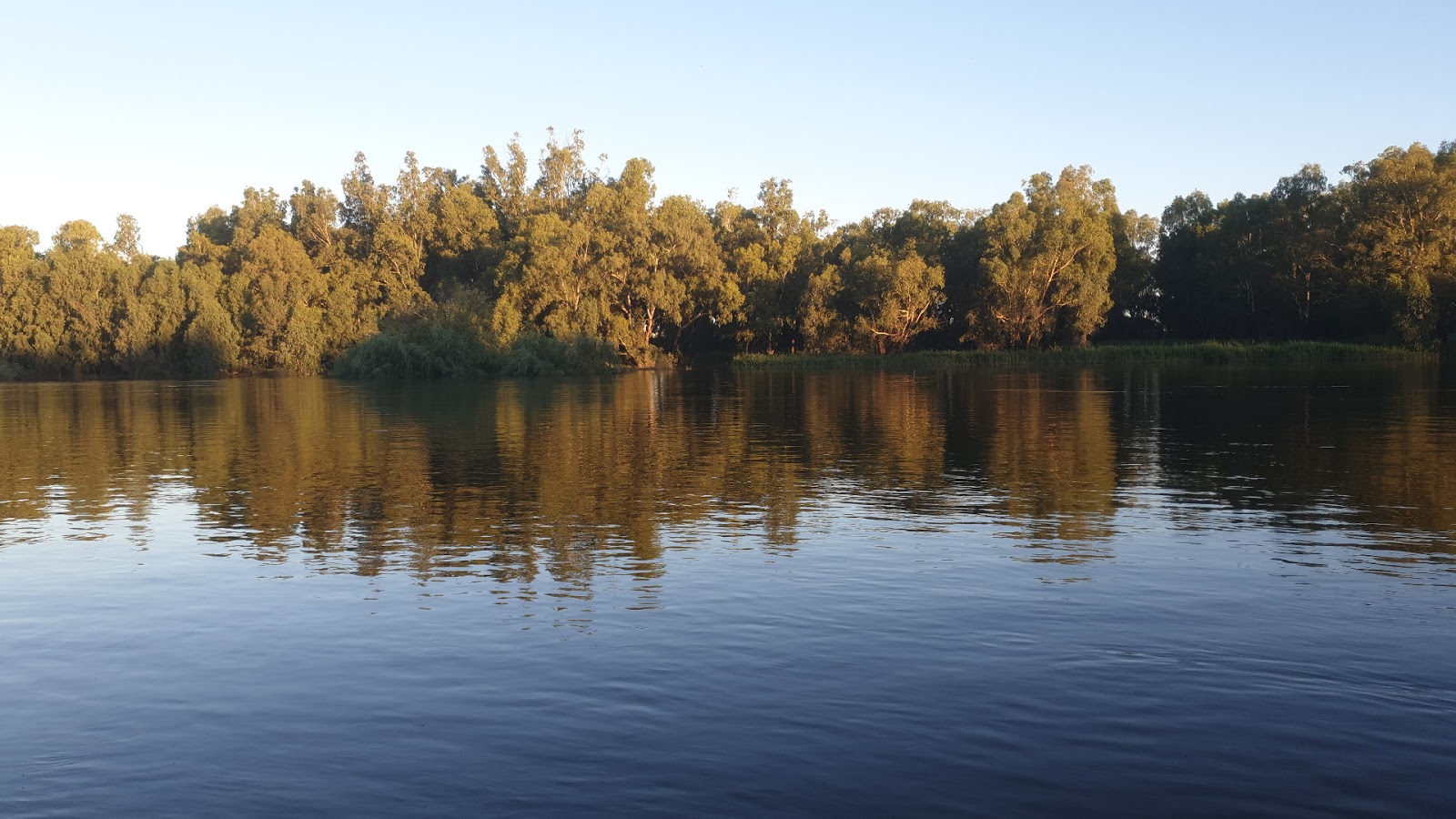 Black Swan Hotel in North Wagga Wagga - photo 7