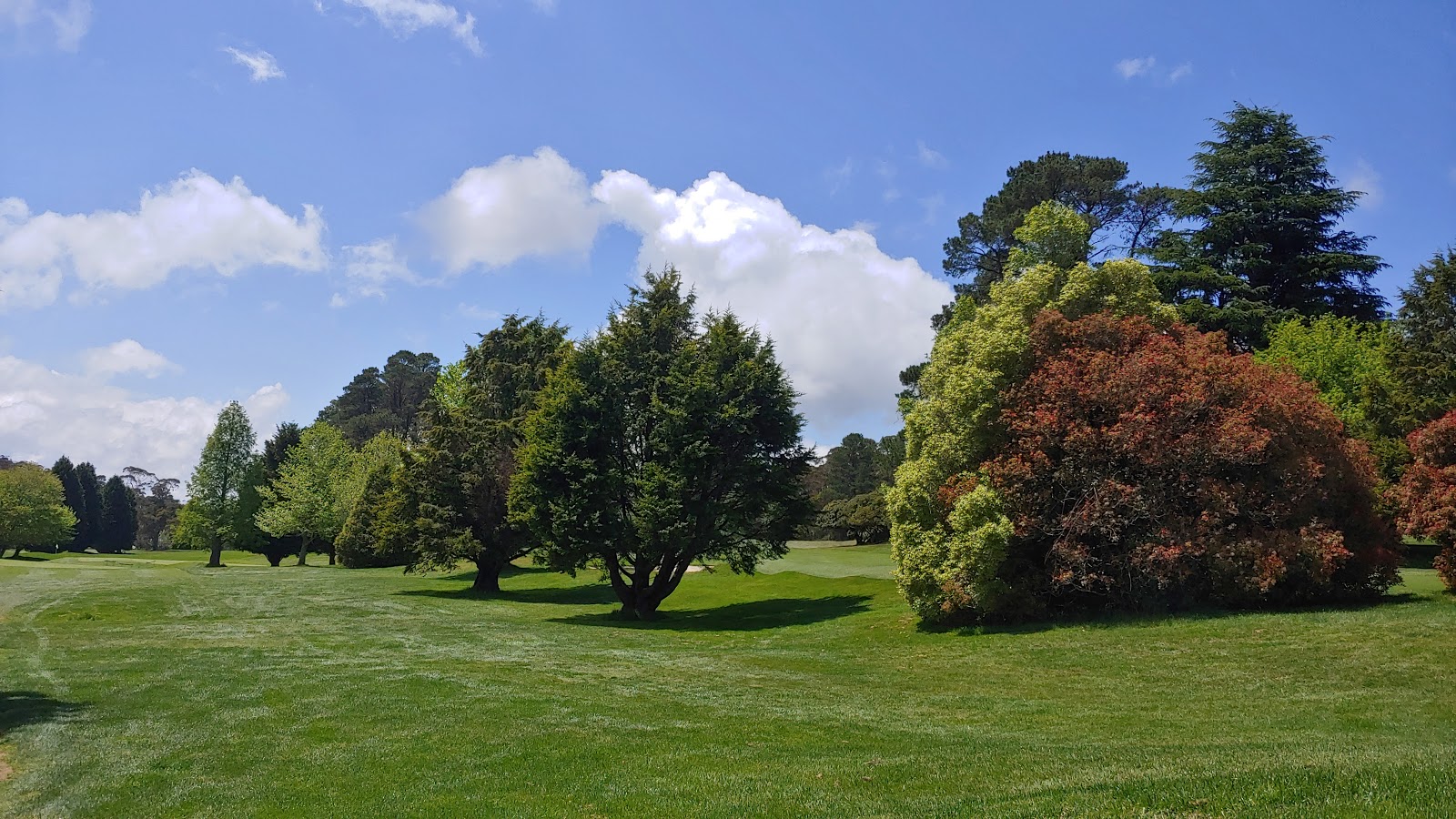 Blackheath Golf Club Ltd in Blackheath - photo 3