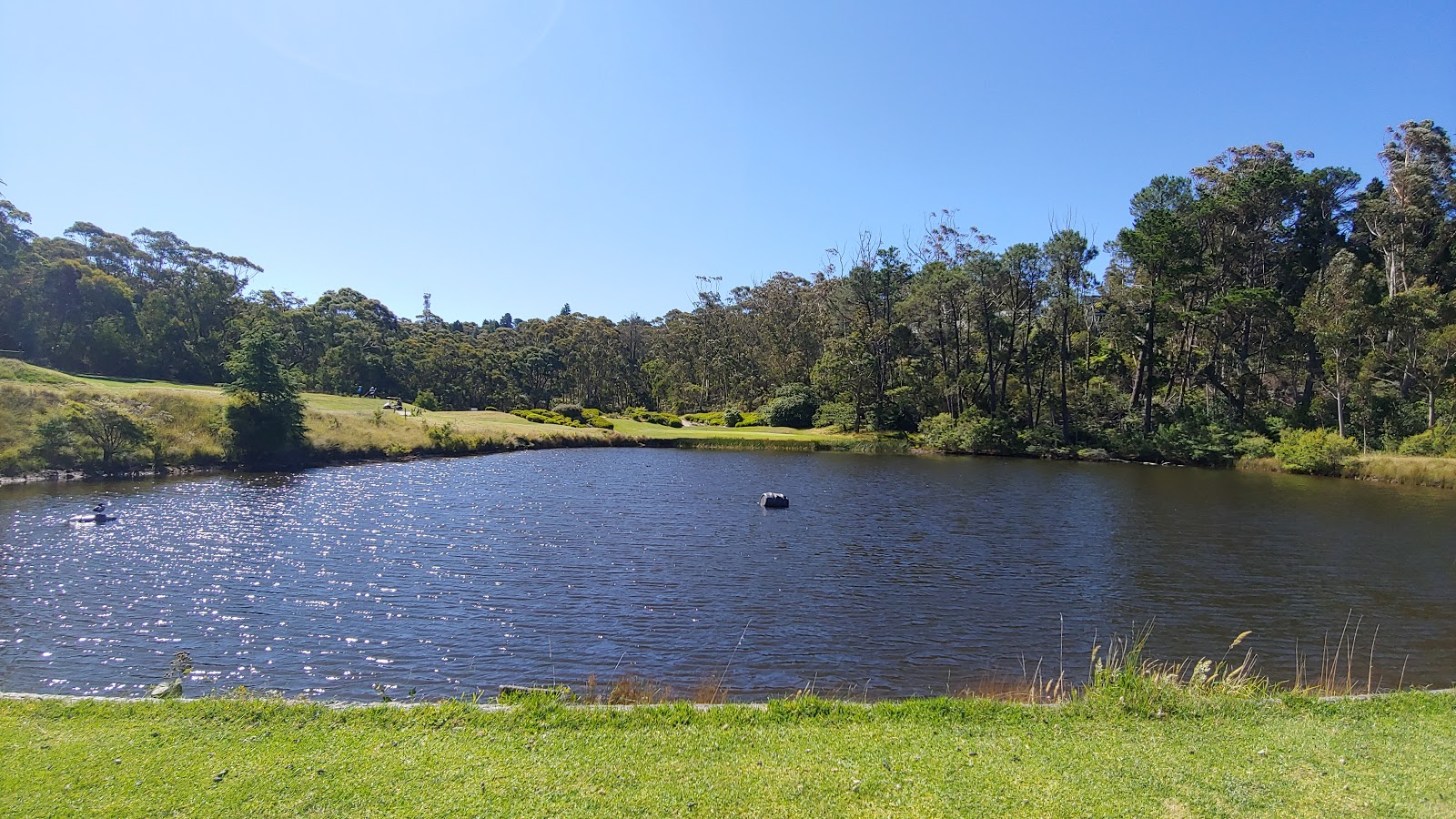 Blackheath Golf Club Ltd in Blackheath - photo 4