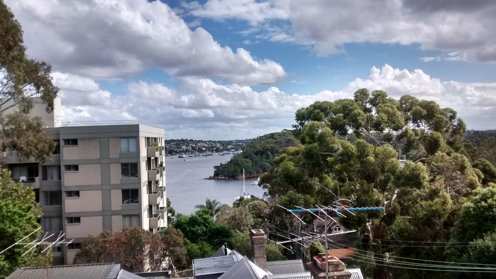 Blues Point Hotel in Mcmahons Point - photo 4