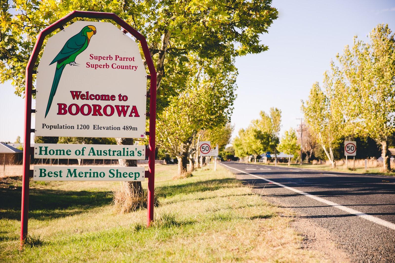 Boorowa Hotel in Boorowa - photo 2
