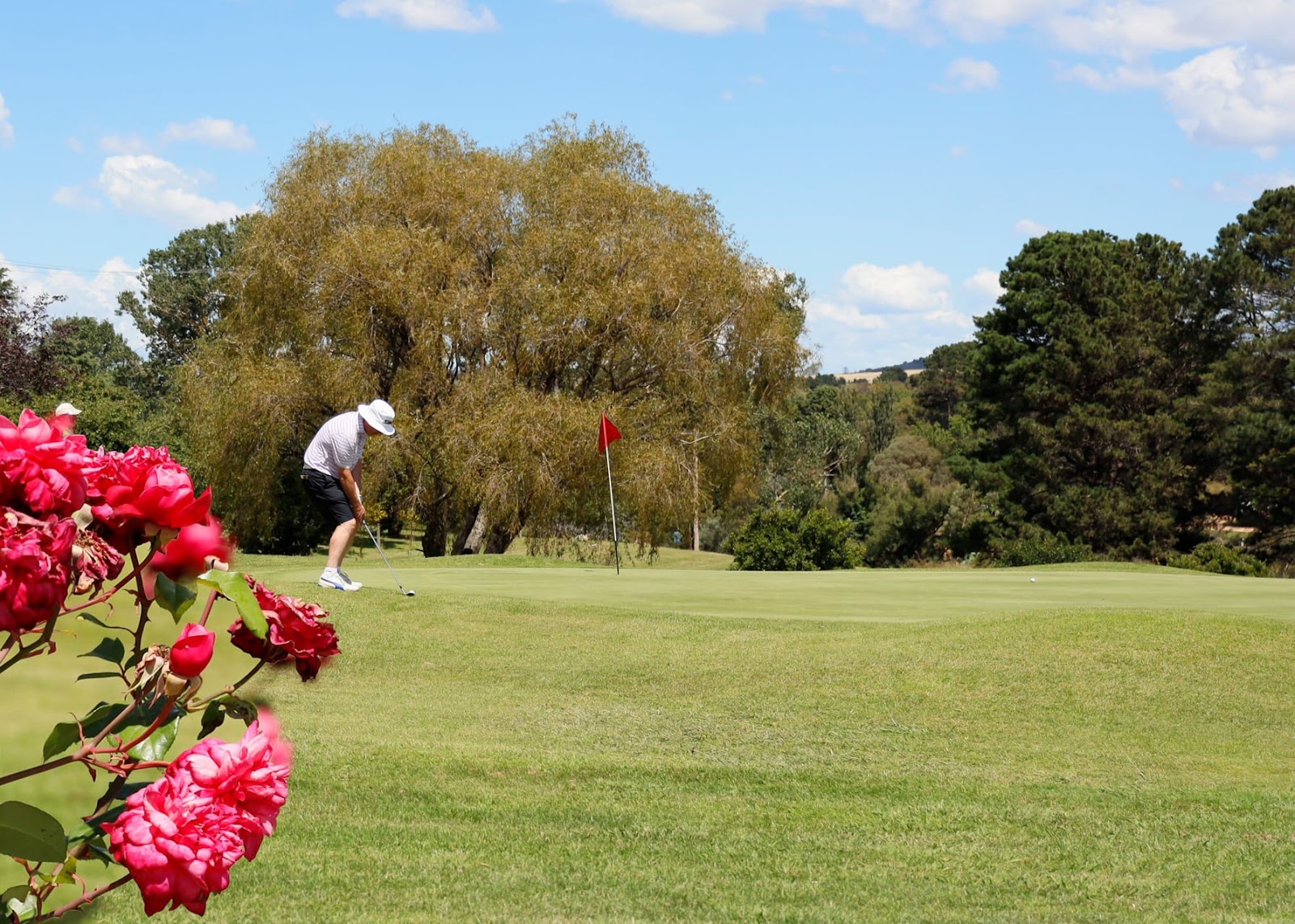 Braidwood Servicemen's Club Limited in Braidwood - photo 6
