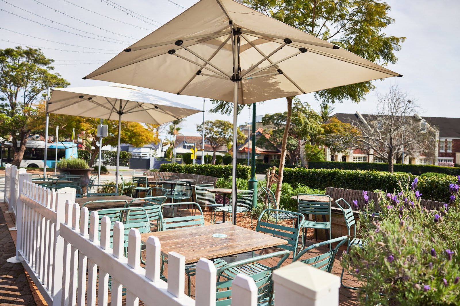 Buena Vista Hotel in Mosman - photo 5