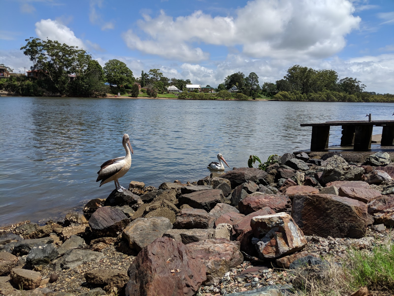 CEX - Urunga in Urunga - photo 5