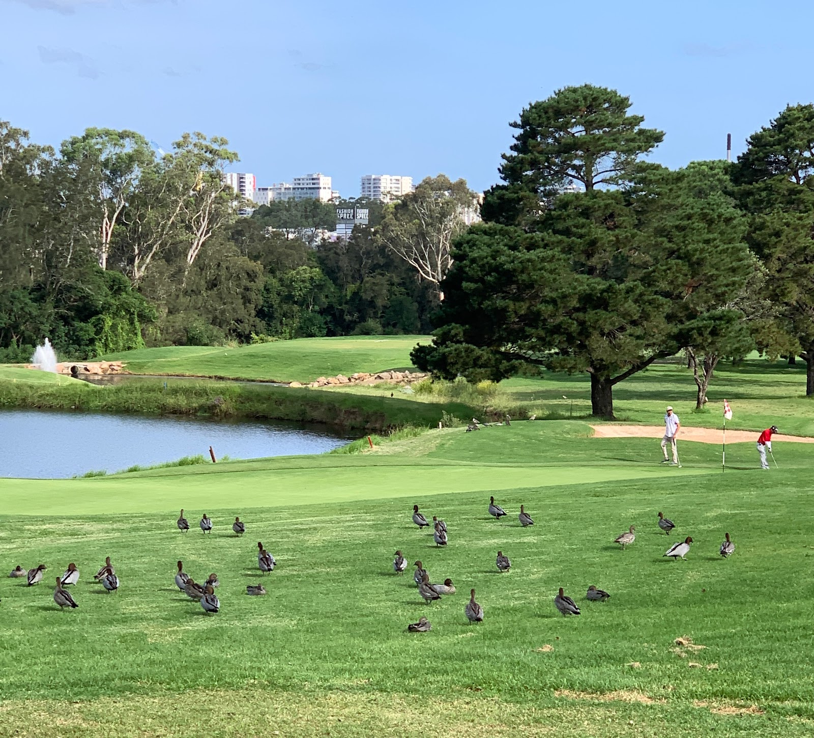 Cabramatta Golf Club Ltd in Cabramatta - photo 3