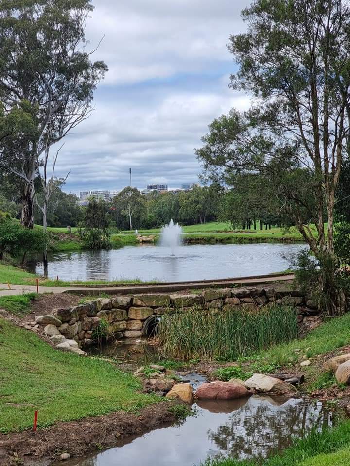 Cabramatta Golf Club Ltd in Cabramatta - photo 5