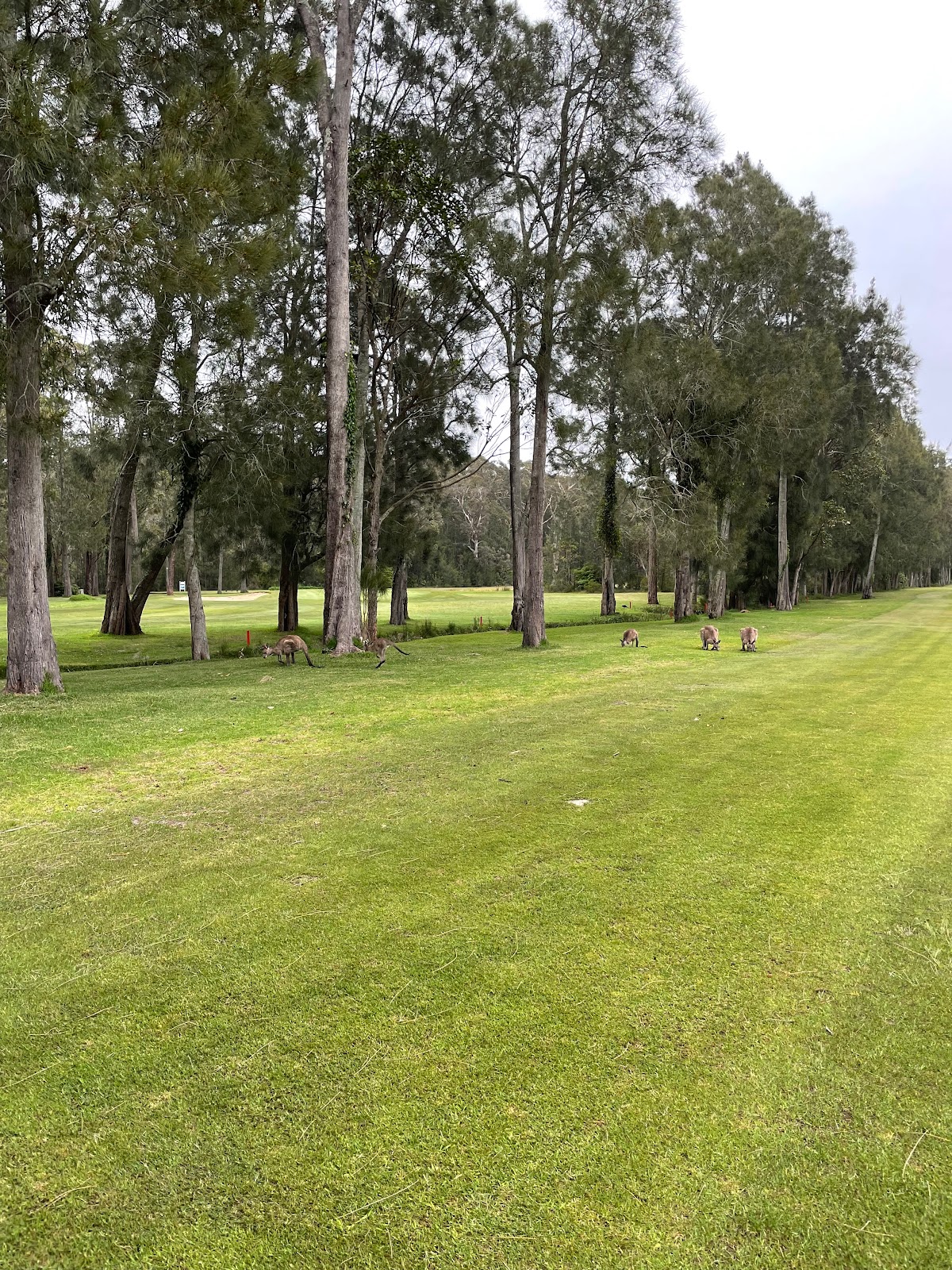 Callala RSL Country Club in Callala Beach - photo 3