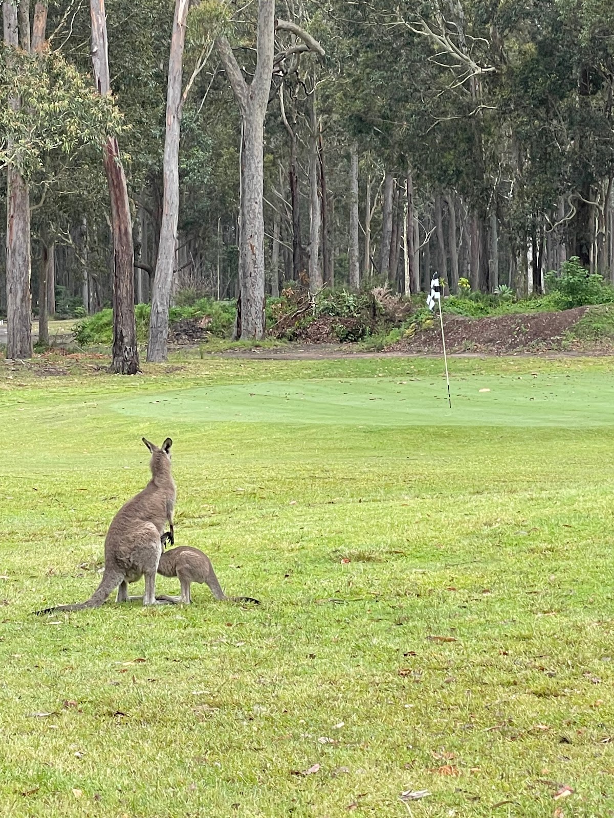 Callala RSL Country Club in Callala Beach - photo 4