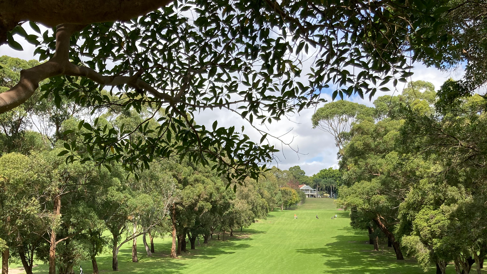 Cammeray Golf Club Limited in Cammeray - photo 5