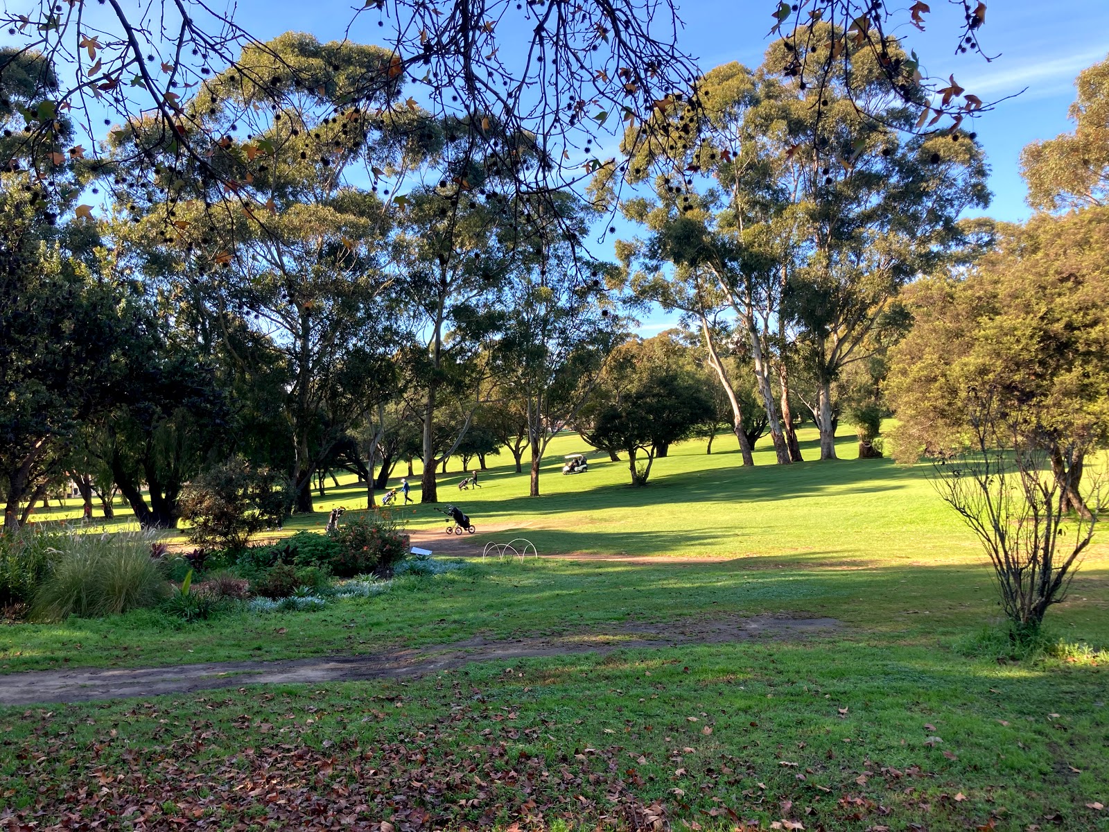 Cammeray Golf Club Limited in Cammeray - photo 6