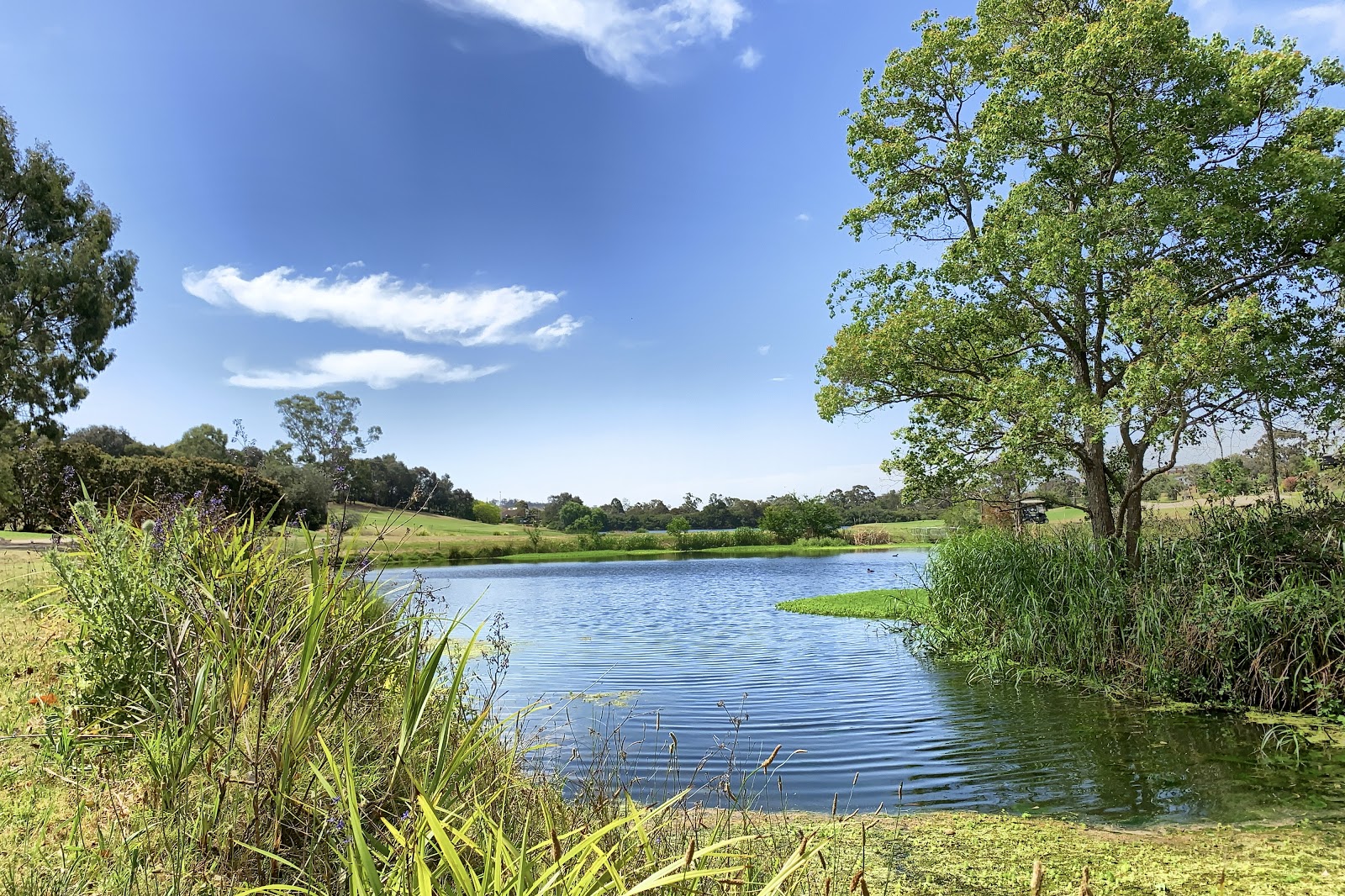 Campbelltown Golf Club in Glen Alpine - photo 7