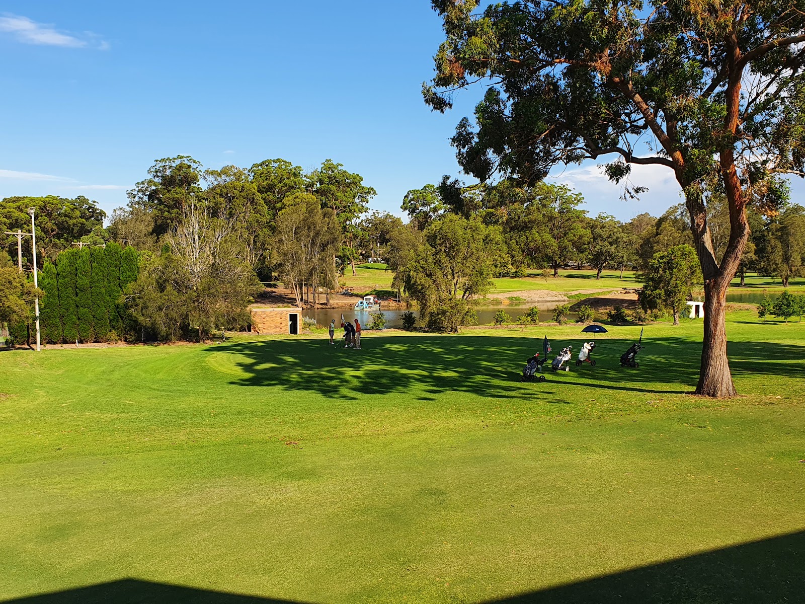 Carnarvon Golf Club in Berala - photo 5
