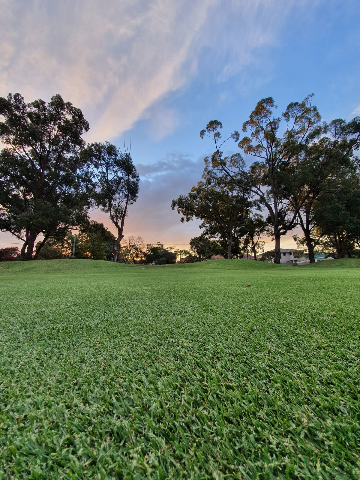 Carnarvon Golf Club in Berala - photo 6