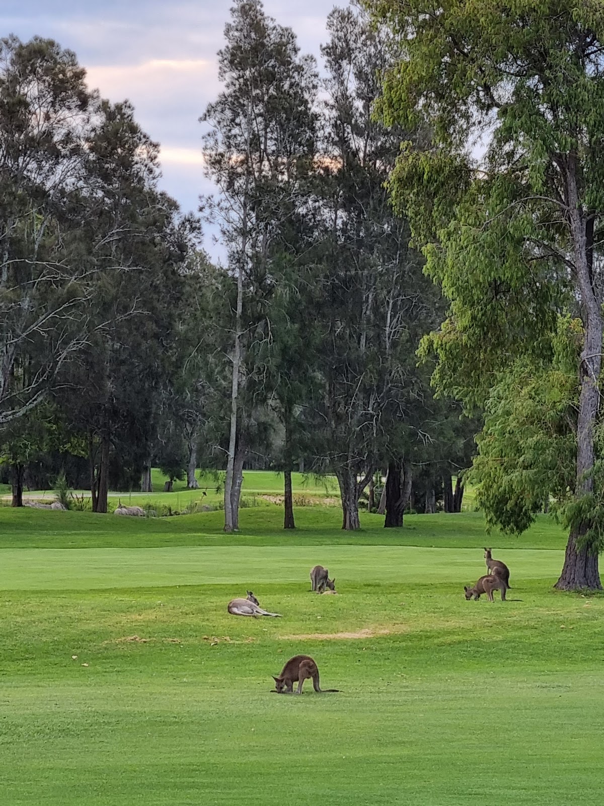 Catalina Country Club in Catalina - photo 5