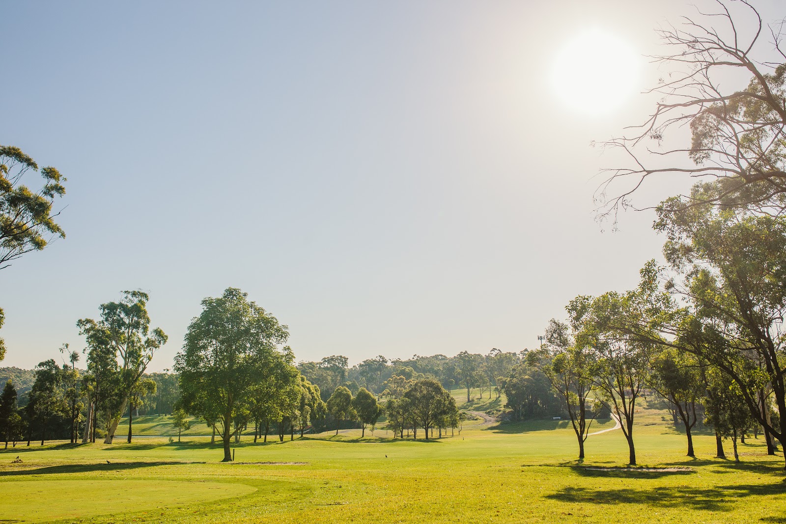 Charlestown Golf Club Ltd in Hillsborough - photo 4