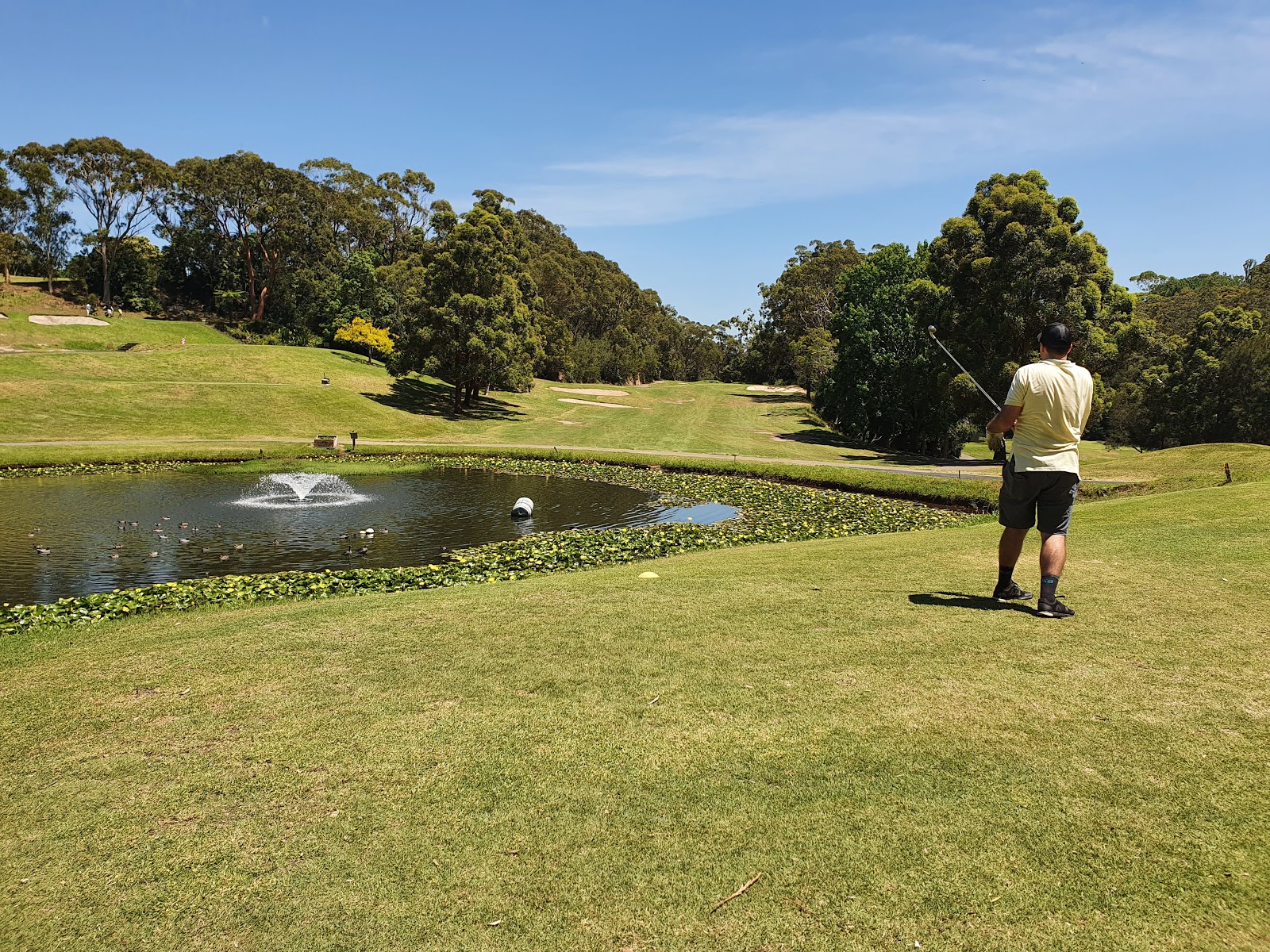 Chatswood Golf Club Limited in Chatswood - photo 1