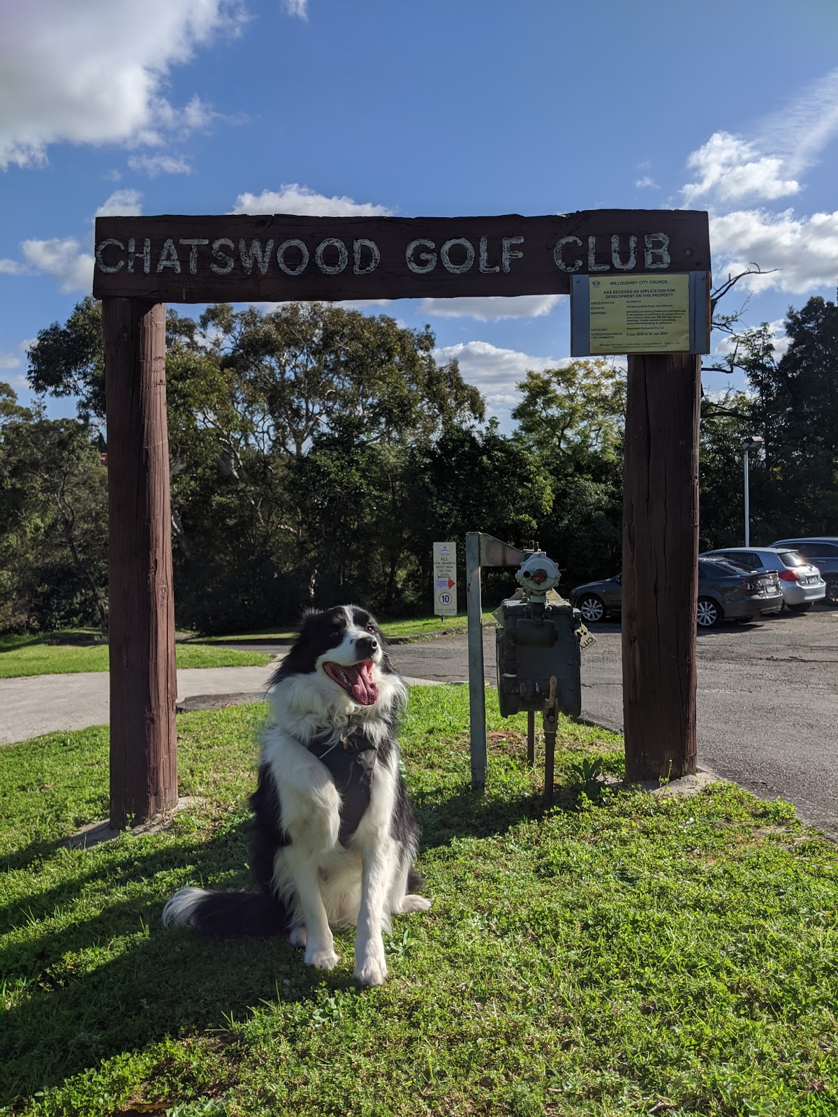 Chatswood Golf Club Limited in Chatswood - photo 6