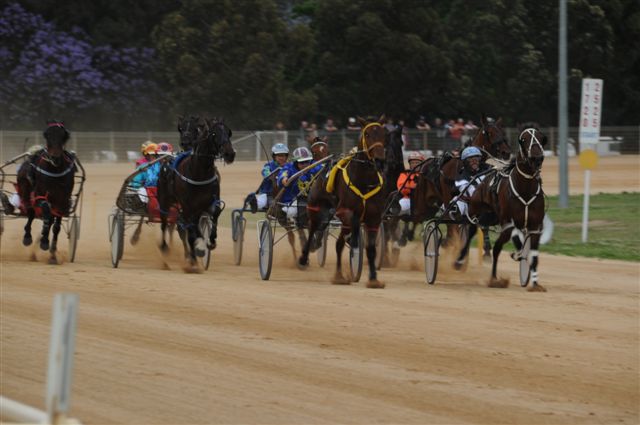Club Paceway in Penrith - photo 2