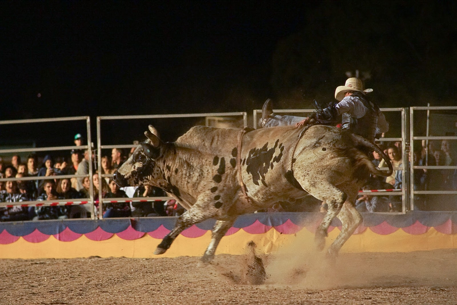 Club Paceway in Penrith - photo 4