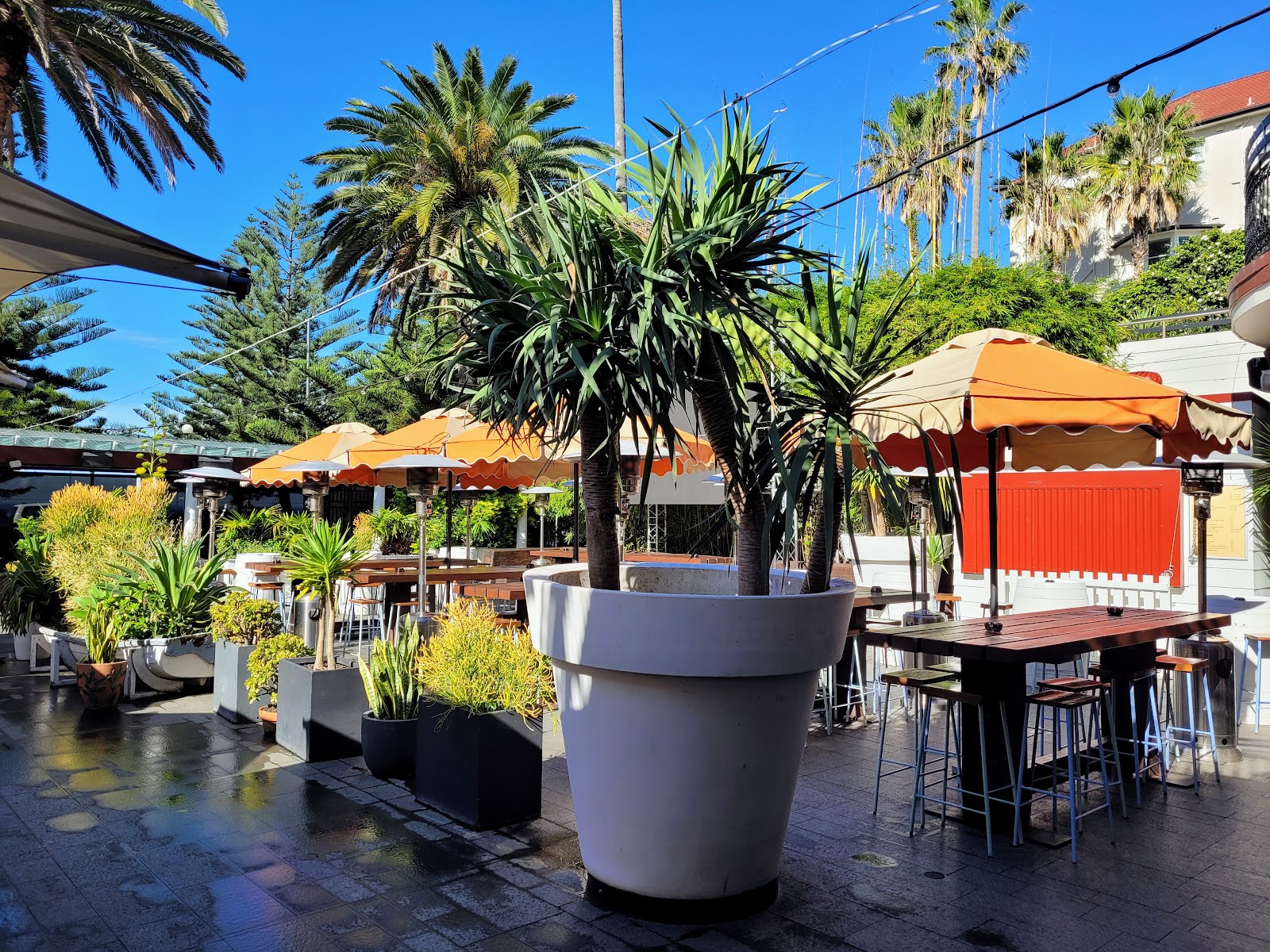 Coogee Bay Hotel in Coogee - photo 4
