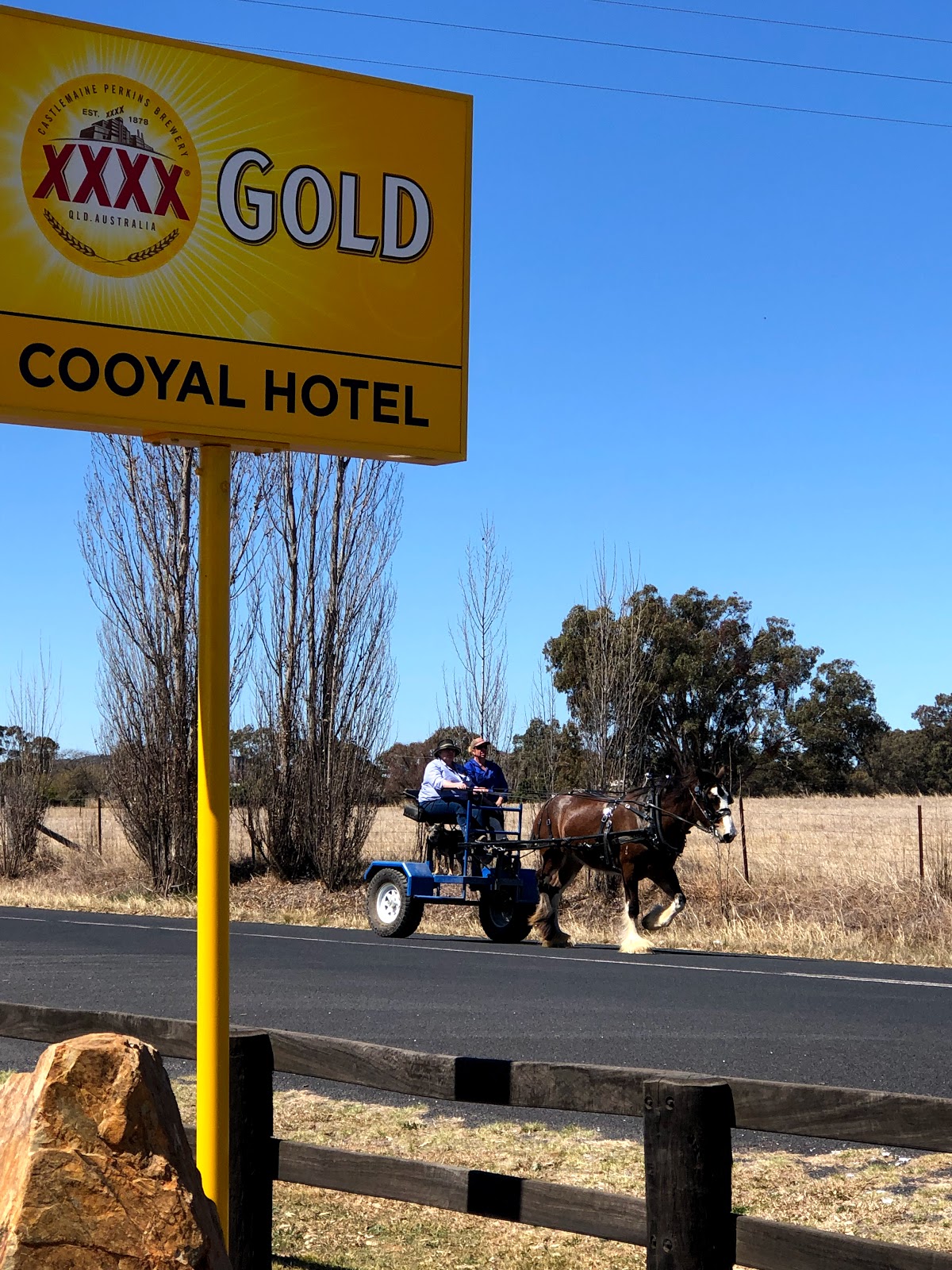 Cooyal Hotel in Cooyal - photo 6