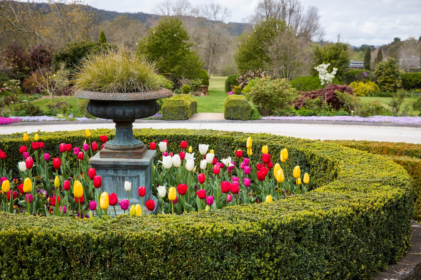 Craigieburn Hotel in Bowral - photo 4