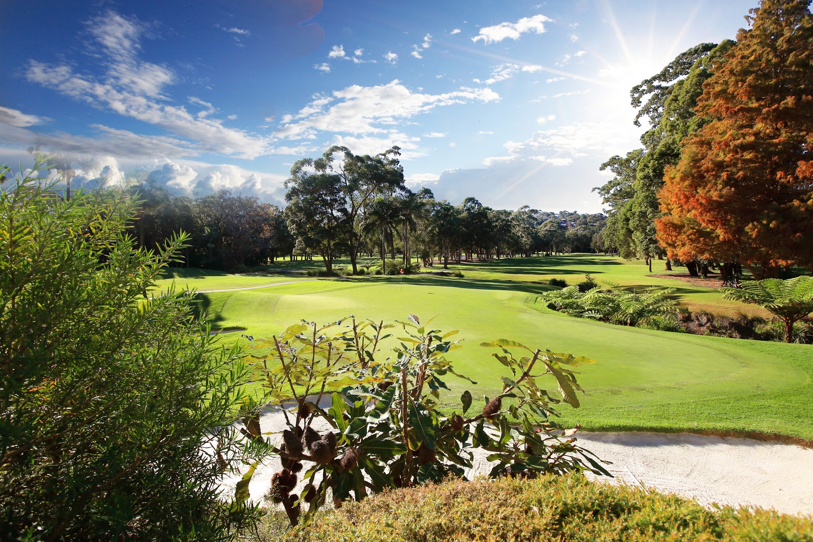 Cromer Golf Club Limited in Cromer - photo 5