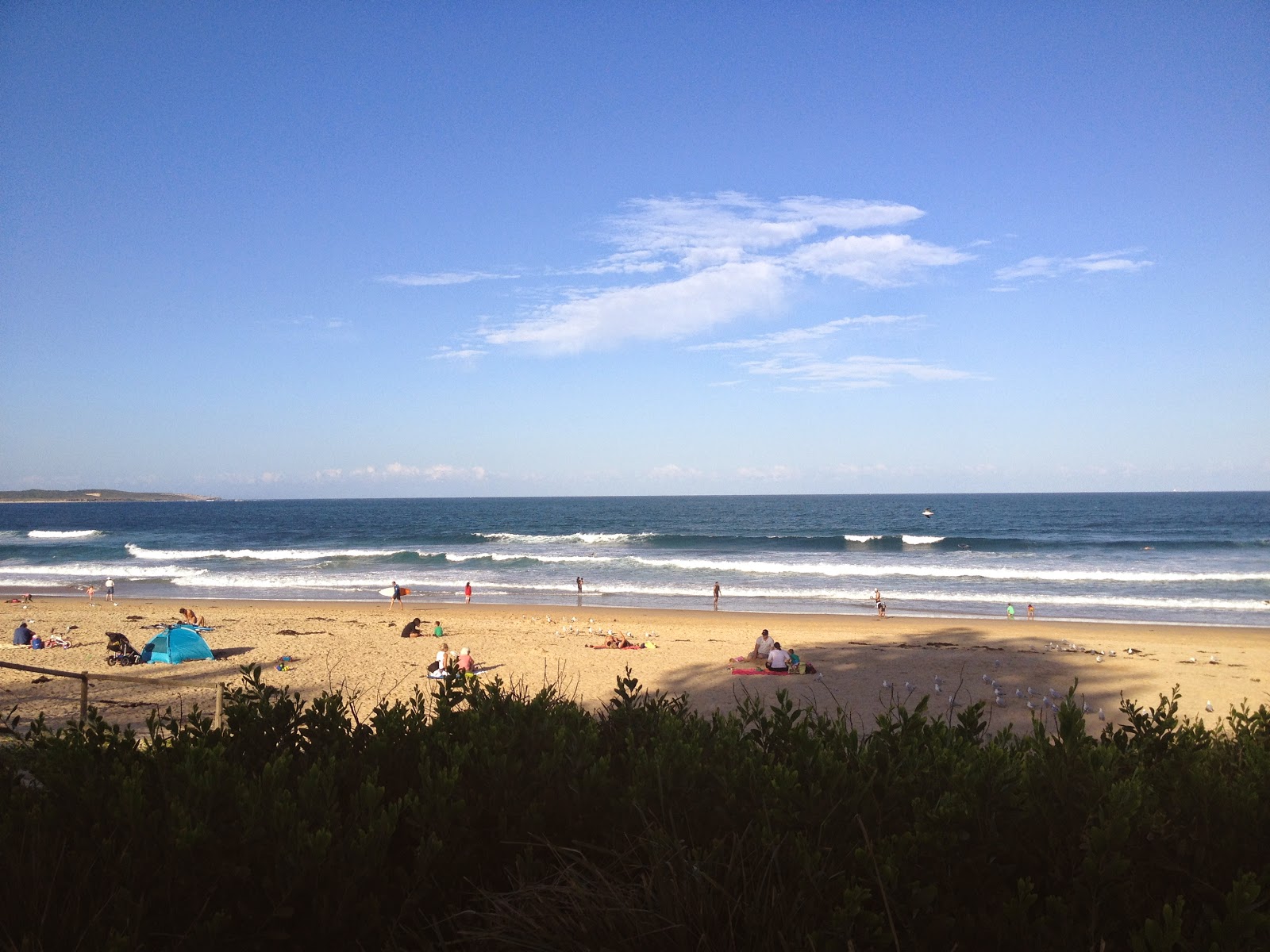 Cronulla Golf Club Ltd in Cronulla - photo 3