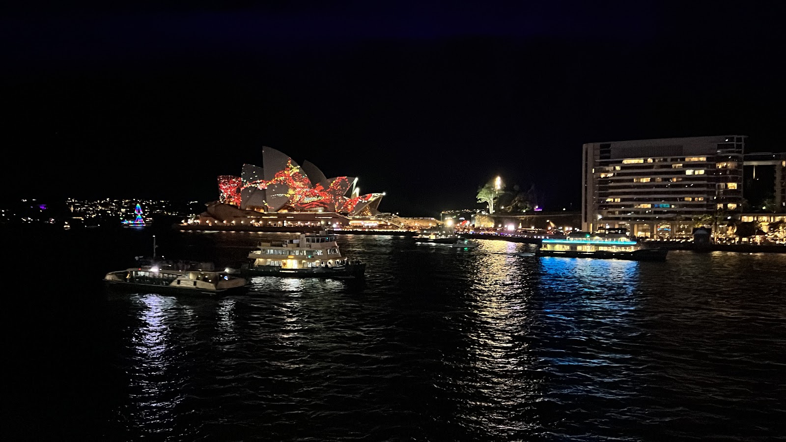 Cruise Hotel in The Rocks - photo 5