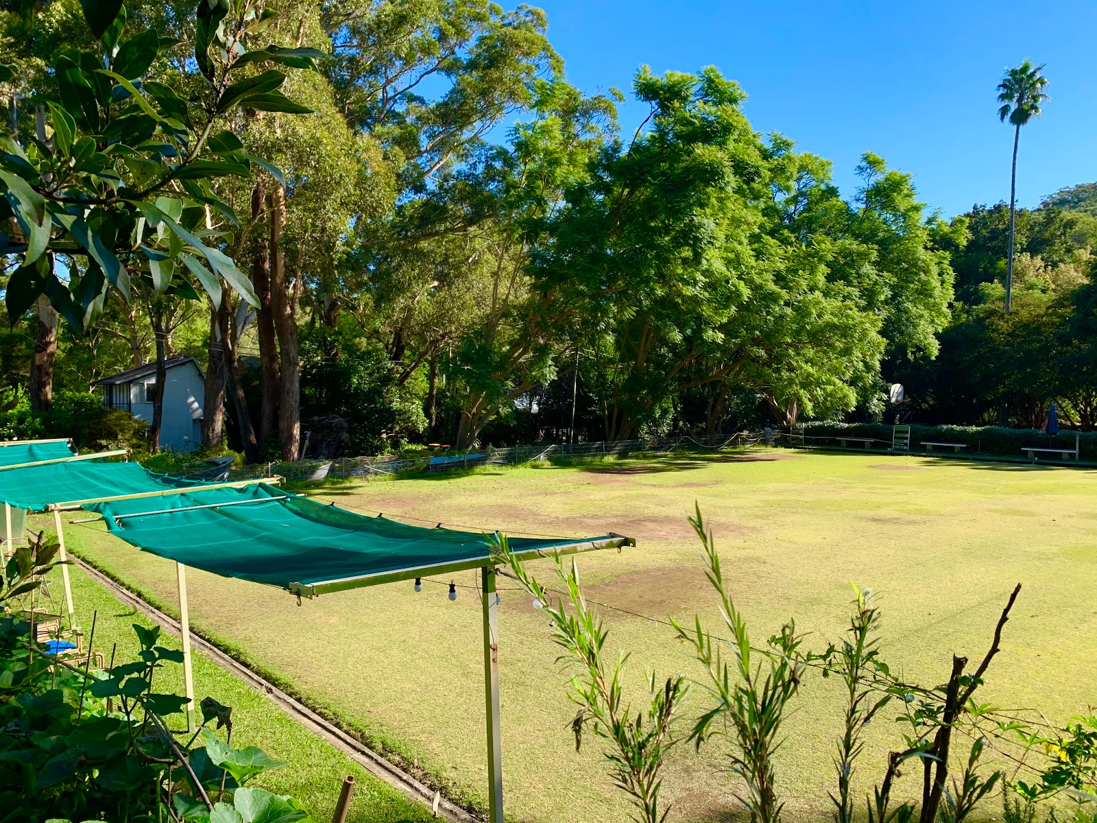 Dangar Island Bowling Club in Dangar Island - photo 2