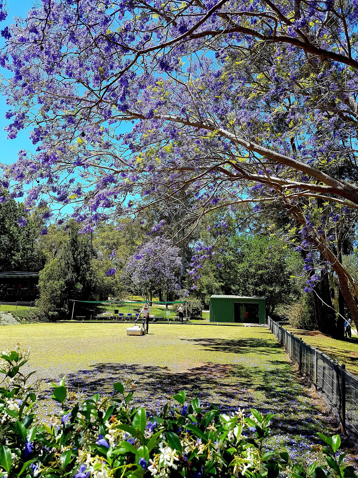 Dangar Island Bowling Club in Dangar Island - photo 6