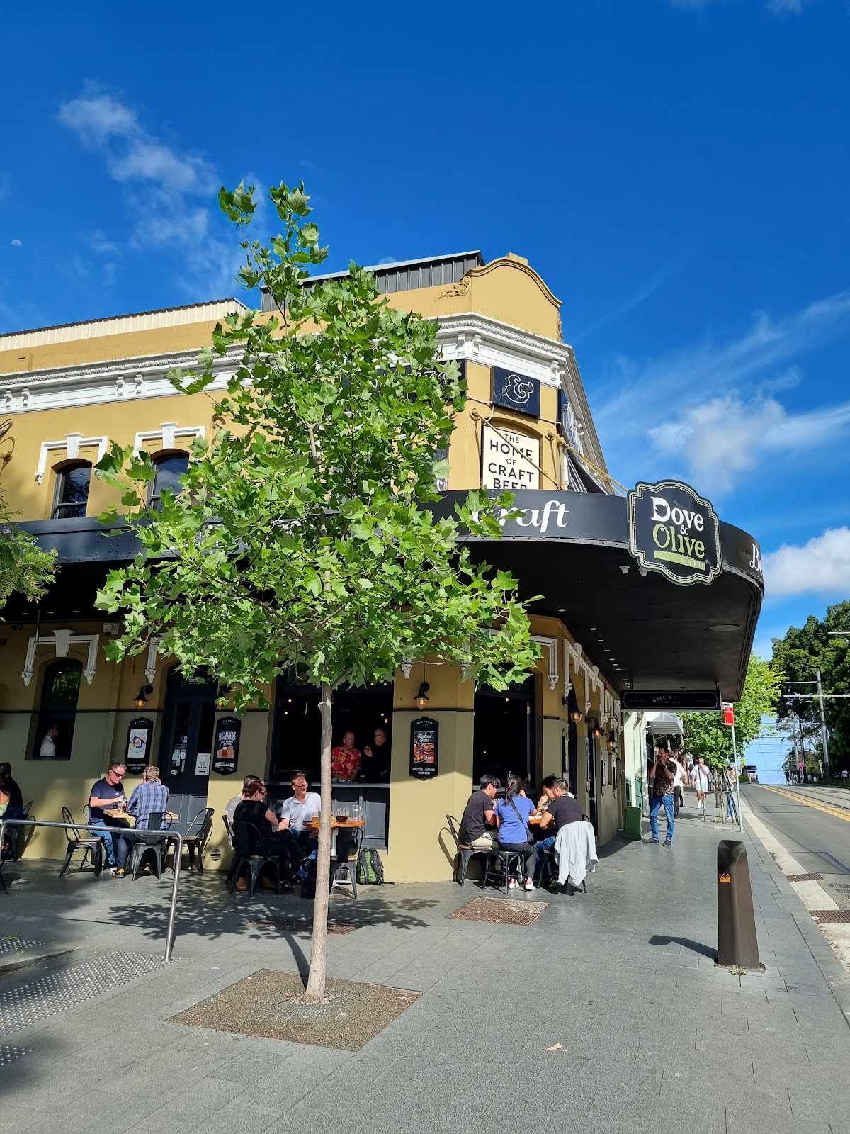 Dove and Olive Hotel in Surry Hills - photo 2