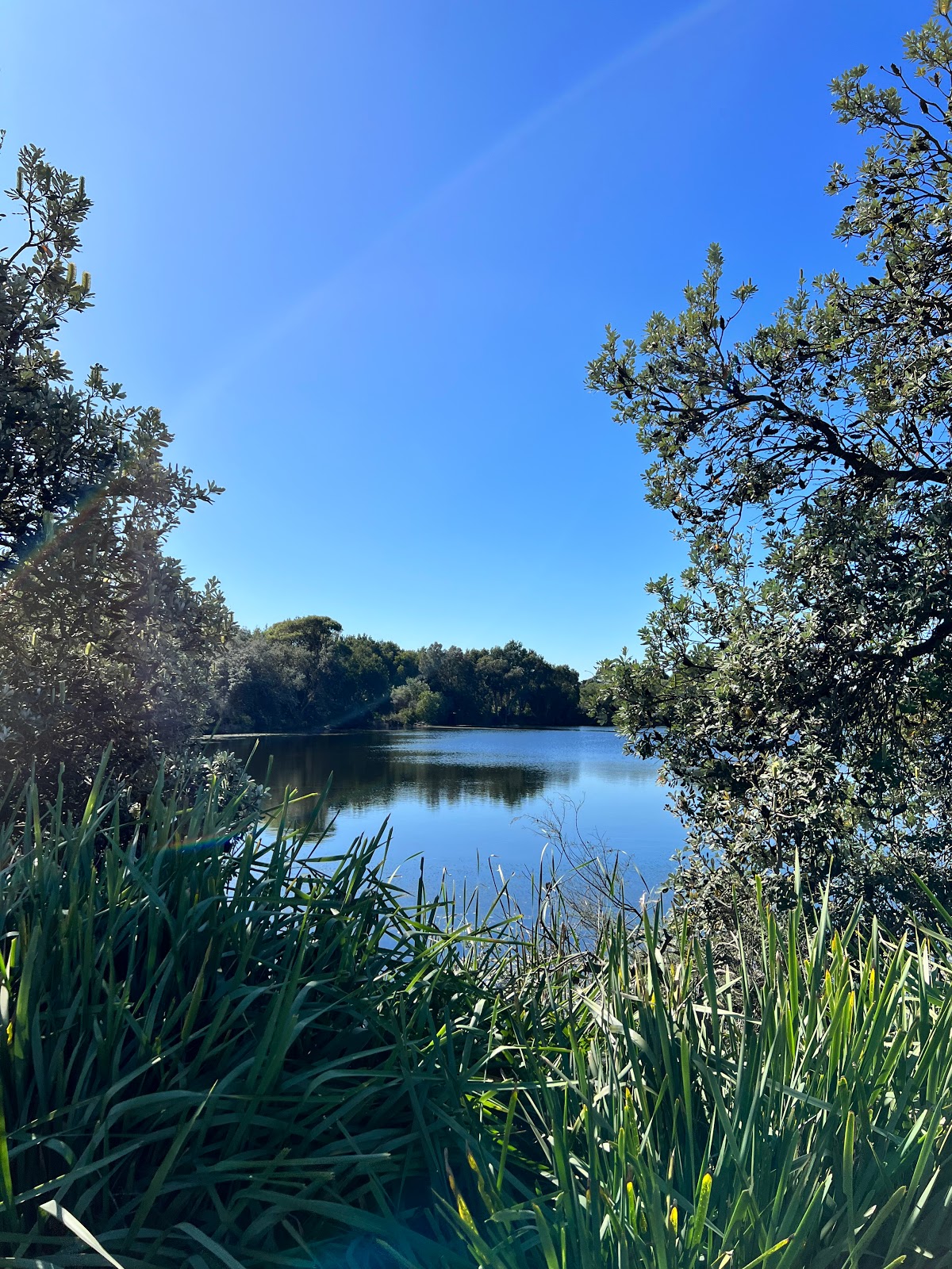 Eastlake Golf Club Limited in Kingsford - photo 4